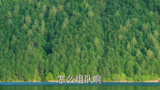 手游木筏求生2怎么组队，怎么组队