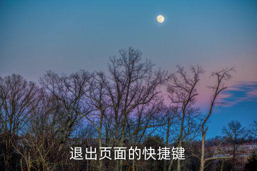 退出页面的快捷键