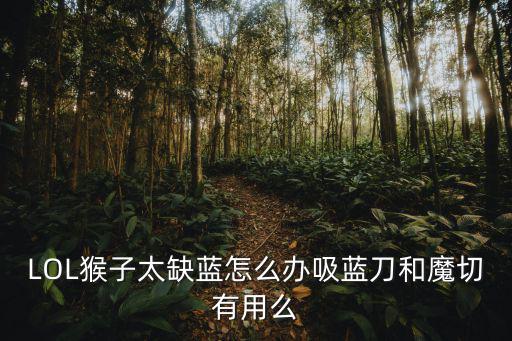 LOL猴子太缺蓝怎么办吸蓝刀和魔切有用么