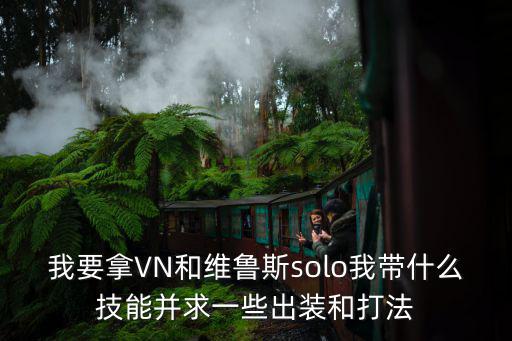 vn手游solo怎么出装厉害，今晚和朋友SOLO都用VN求指点加点出装之类的