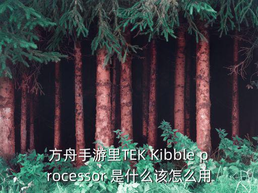 方舟手游天空巢穴怎么找，方舟手游里TEK Kibble processor 是什么该怎么用