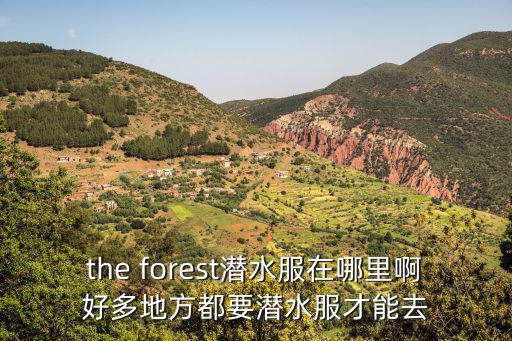 the forest潜水服在哪里啊好多地方都要潜水服才能去