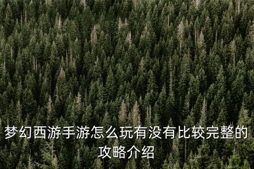 梦幻西游手游怎么玩有没有比较完整的攻略介绍