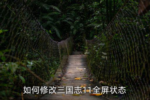 如何修改三国志11全屏状态
