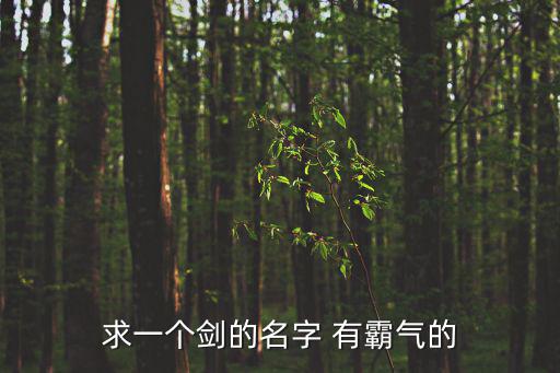 求一个剑的名字 有霸气的