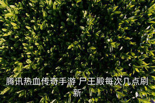 腾讯热血传奇手游 尸王殿每次几点刷新