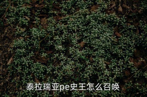 泰拉瑞亚pe史王怎么召唤