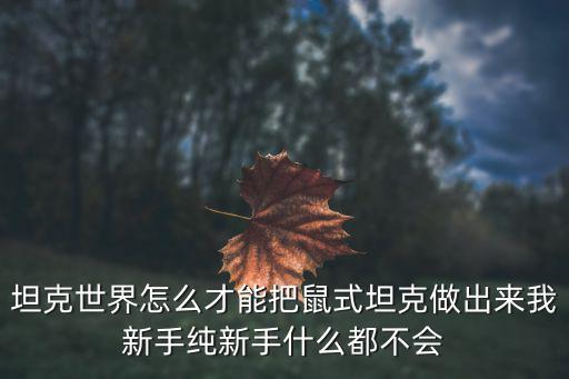 手游坦克世界鼠式坦克怎么走，坦克世界坦克选什么路线