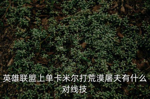 英雄联盟上单卡米尔打荒漠屠夫有什么对线技