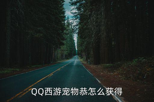 QQ西游宠物恭怎么获得