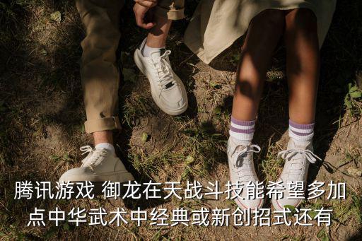 腾讯游戏 御龙在天战斗技能希望多加点中华武术中经典或新创招式还有