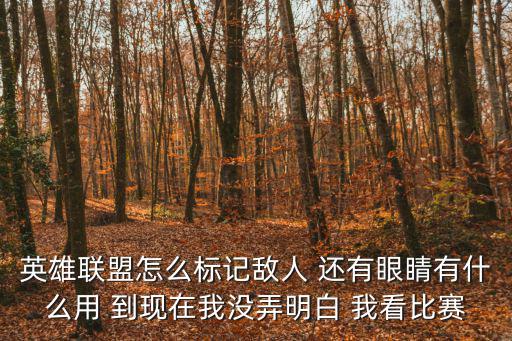 英雄联盟手游怎么标记敌人和野怪，LOL更新后怎么标记野怪和敌方英雄