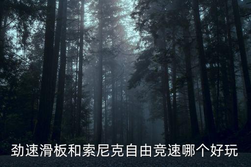 劲速滑板和索尼克自由竞速哪个好玩