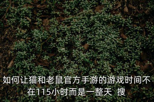 如何让猫和老鼠官方手游的游戏时间不在115小时而是一整天 搜