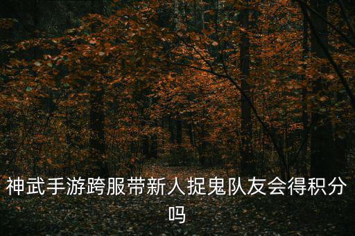 神武手游跨服带新人捉鬼队友会得积分吗