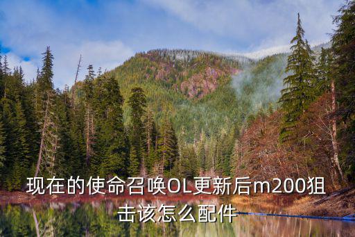 使命召唤手游m200怎么合成，使命召唤ol m200涂鸦怎么得永久