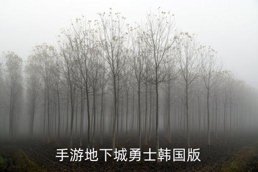 dnf手游韩服预约要填的怎么填，韩服地下城身份证怎么填
