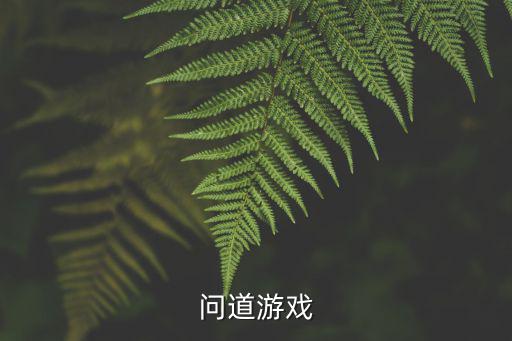 问道游戏