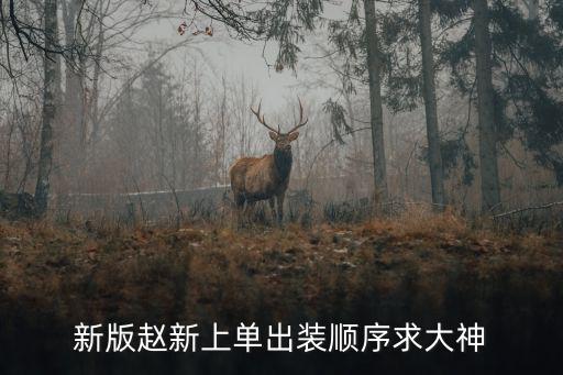 新版赵新上单出装顺序求大神