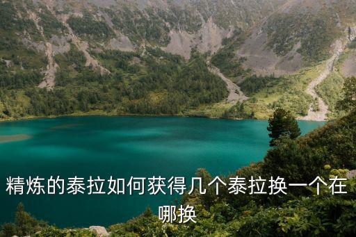 精炼的泰拉如何获得几个泰拉换一个在哪换