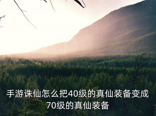 手游诛仙怎么把40级的真仙装备变成70级的真仙装备