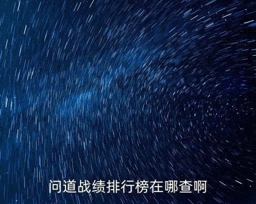 问道战绩排行榜在哪查啊
