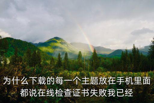 边境检察官手游怎么放不下证件，为什么下载的每一个主题放在手机里面都说在线检查证书失败我已经