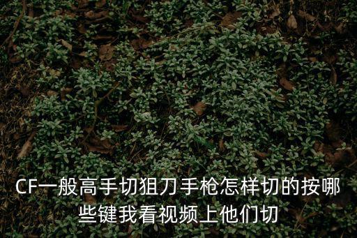 CF一般高手切狙刀手枪怎样切的按哪些键我看视频上他们切