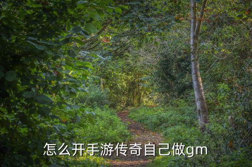 怎么开手游传奇自己做gm