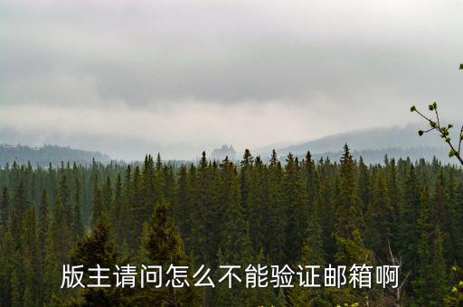 英雄联盟手游怎么无法验证邮箱，版主请问怎么不能验证邮箱啊