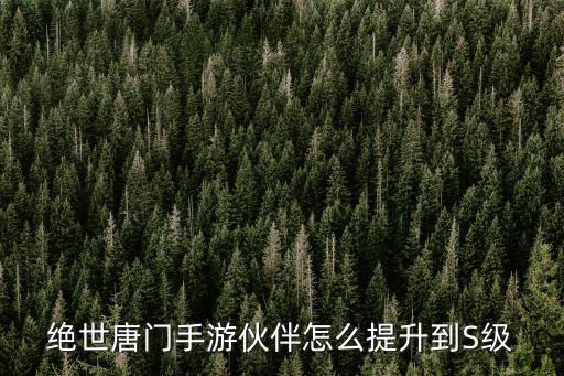 绝世唐门手游伙伴怎么提升到S级