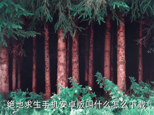 绝地求生手机安卓版叫什么怎么下载