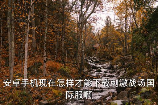 安卓手机现在怎样才能下载刺激战场国际服啊