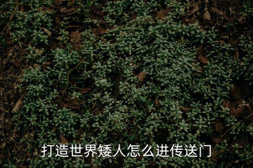打造世界矮人怎么进传送门