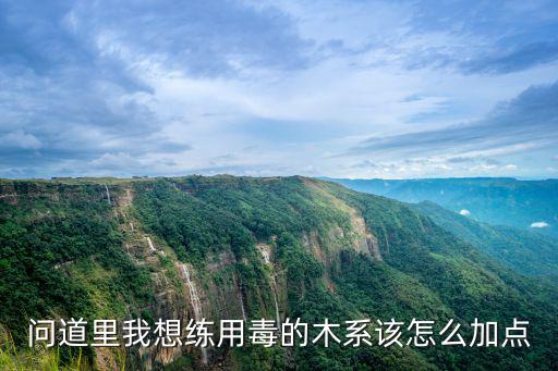 问道里我想练用毒的木系该怎么加点