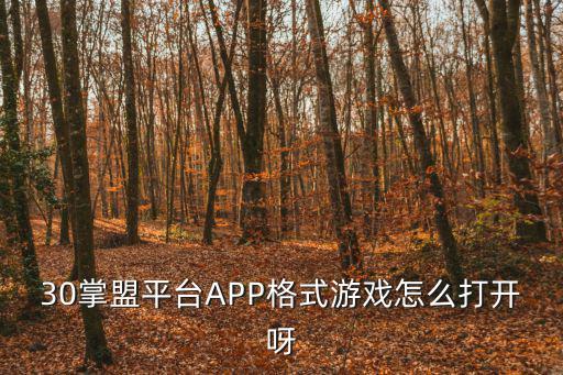 掌盟怎么启动lol手游，掌盟APP怎么启动