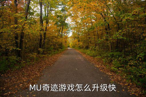 怀旧奇迹mu手游怎么升级快，MU奇迹游戏怎么升级快