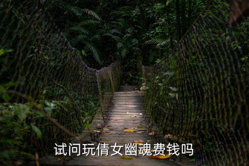 试问玩倩女幽魂费钱吗
