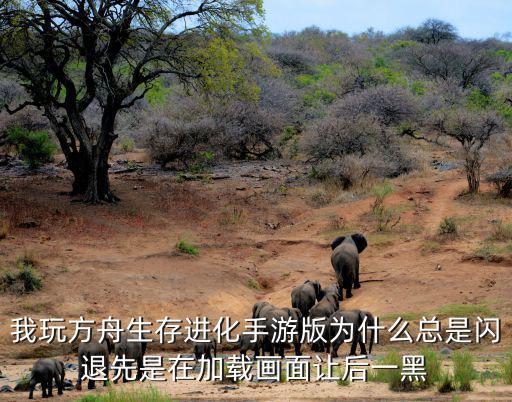 我玩方舟生存进化手游版为什么总是闪退先是在加载画面让后一黑