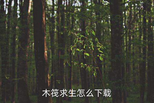 手游木筏生存怎么探索岛屿，新版的天堂岛怎么样才能探索小岛呢