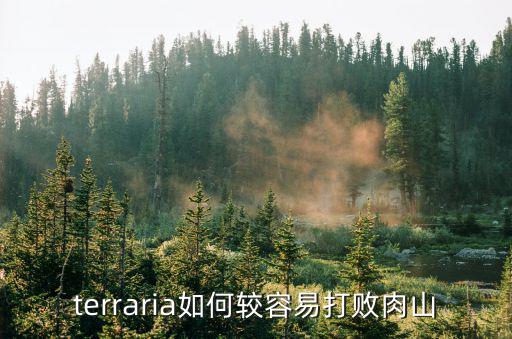 手游卡特怎么打肉山，terraria专家肉山怎么过