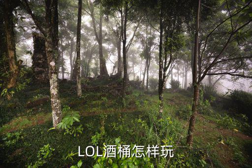 LOL酒桶怎样玩