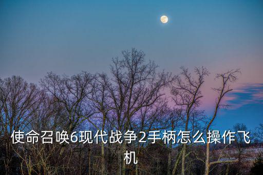 使命召唤6现代战争2手柄怎么操作飞机