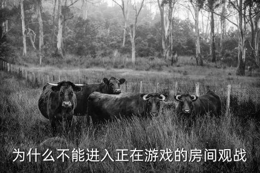 为什么不能进入正在游戏的房间观战