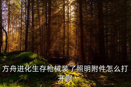 方舟进化生存枪械装了照明附件怎么打开啊