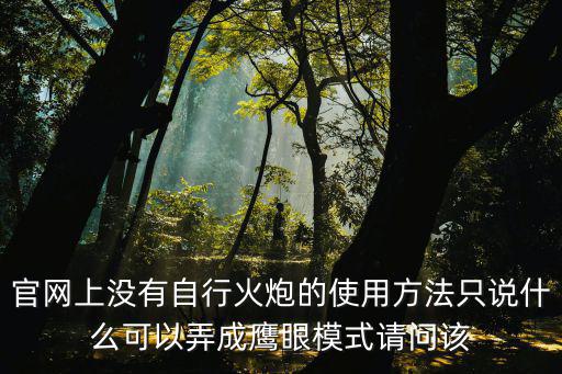 官网上没有自行火炮的使用方法只说什么可以弄成鹰眼模式请问该