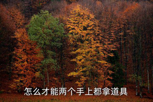 怎么才能两个手上都拿道具