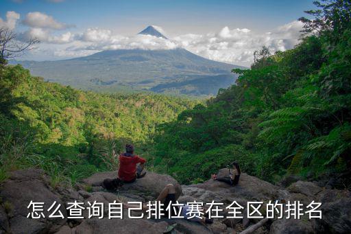 手游怎么看大区段位排名，谁知道王者荣耀QQ区的战队全区服排行榜就是总排位星数在哪里