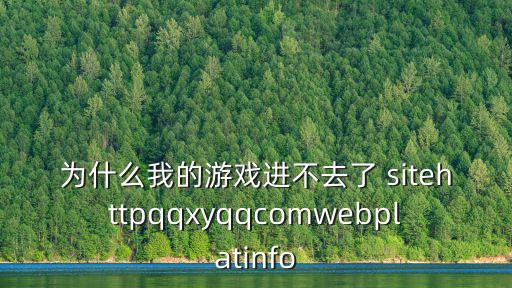 觉醒之战的手游怎么进不去，游戏进不去啊咋弄