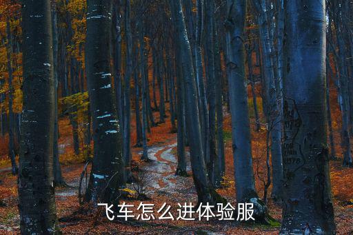 飞车怎么进体验服